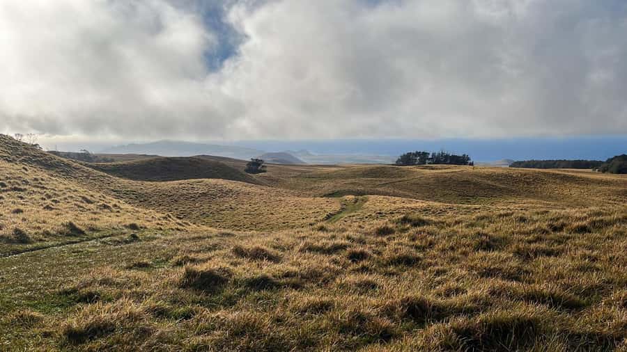 Adventures in Rapa Nui: High-quality tourism with Easter Island Your Tour. - Rapa Nui National Park: begin with context