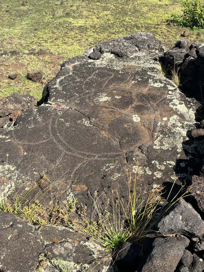 Adventures in Rapa Nui: High-quality tourism with Easter Island Your Tour. - Ahu Tongariki and the grandest sense of scale