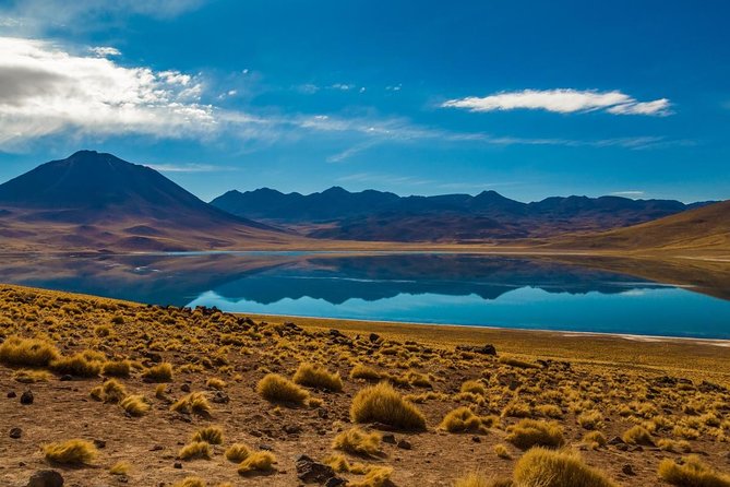 Altiplanic Lagoons & Piedras Rojas Tour from San Pedro de Atacama - Key points before you book