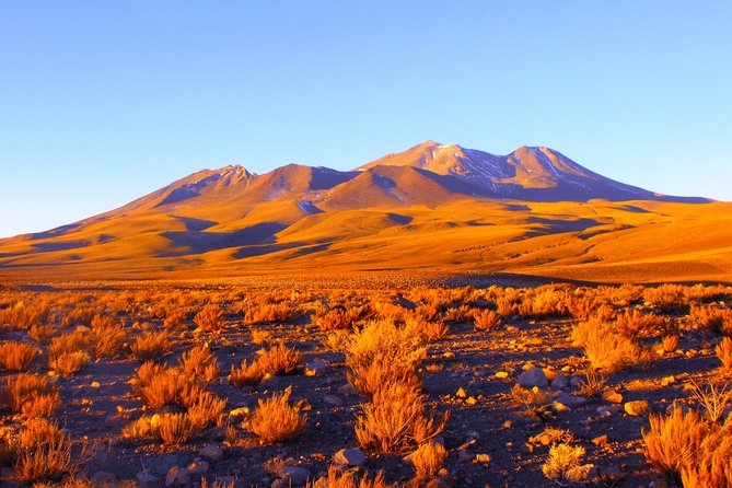 Altiplanic Lagoons & Piedras Rojas Tour from San Pedro de Atacama - Socaire lunch and the route back to San Pedro