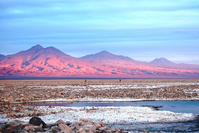 Altiplanic Lagoons & Piedras Rojas Tour from San Pedro de Atacama - Miscanti and Miñiques at 4,200 meters