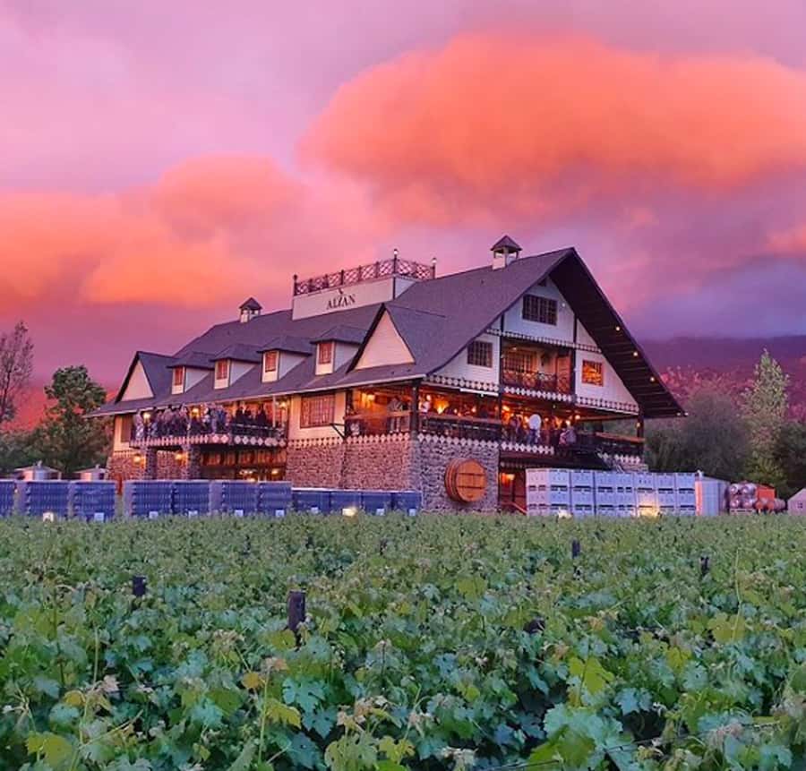 Alyan Family sunset winery - A guided look around the winery