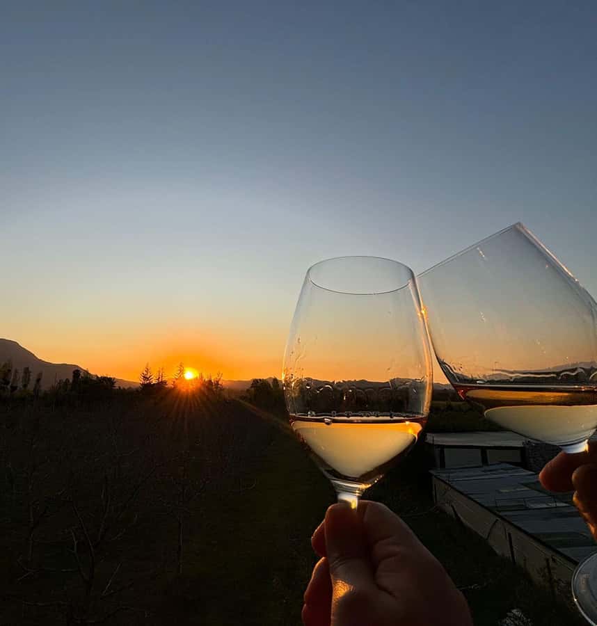 Alyan Family sunset winery - Who will enjoy this evening most