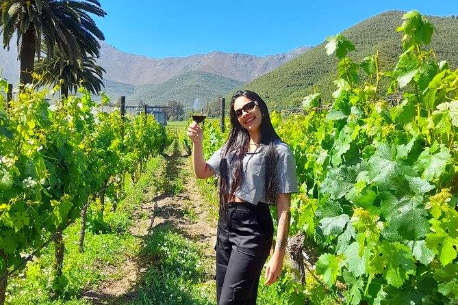 Andes Portillo & Aconcagua wine tour semi private - From Santiago to the high Andes