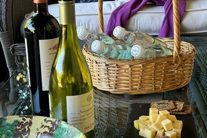 Andes Portillo & Aconcagua wine tour semi private - Viña El Escorial in the Aconcagua Valley
