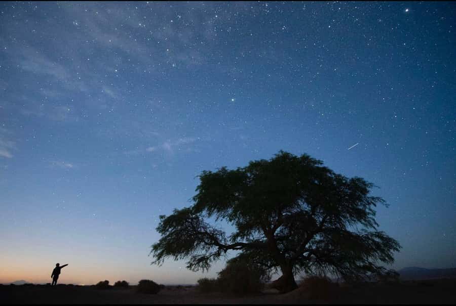 Antofagasta: Astronomical Tour with a Guide - What the $95 price gets you