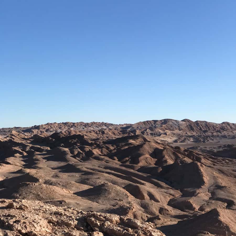 Atacama Desert and Magic Bus Visit - Should You Book the Atacama Magic Bus Visit?