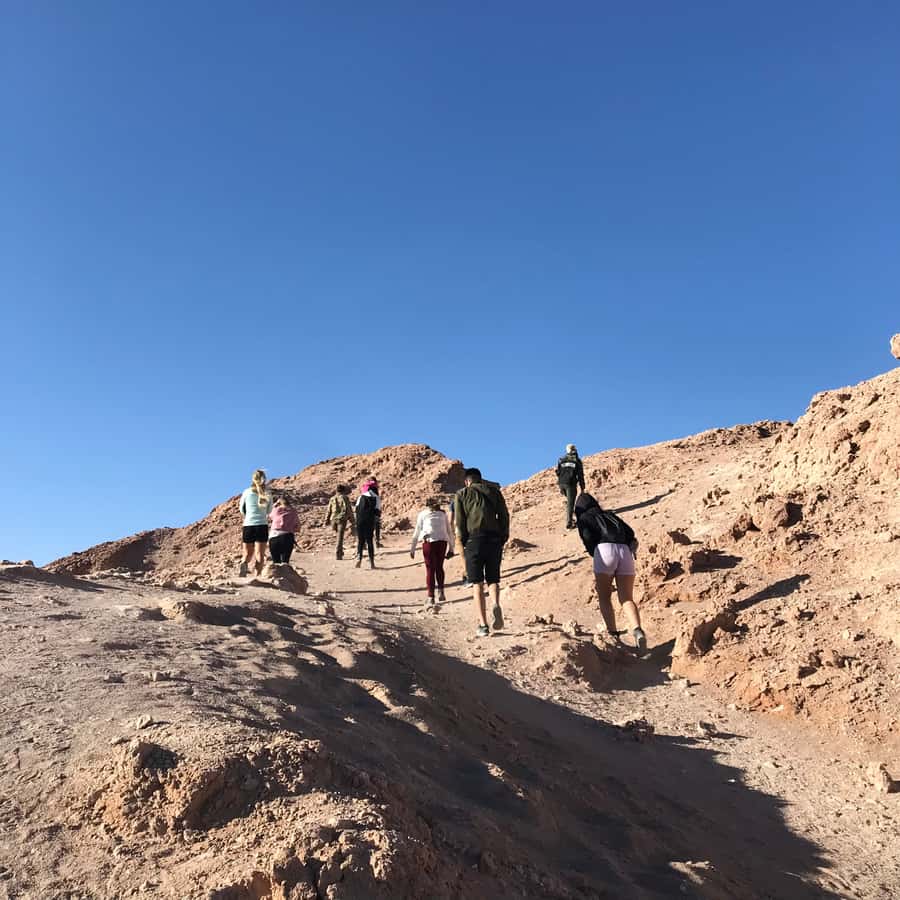 Atacama Desert and Magic Bus Visit - Practical Timing and Meeting Details