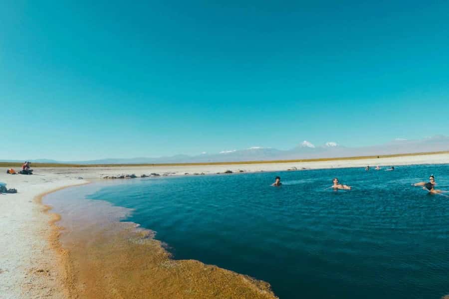 Atacama Desert: Floatation in Laguna Cejar and Sunset - Key points to know before you book