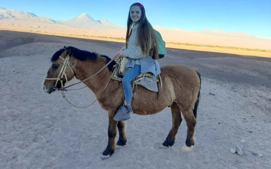 Atacama Desert: Horseback Adventure with Scenic Views - Dinosaur Valley and the traces of prehistoric life