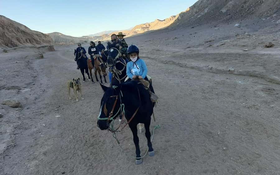 Atacama Desert: Horseback Adventure with Scenic Views - Is $68 a fair price?