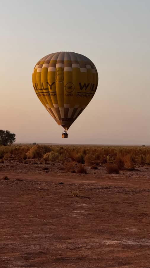Atacama: San Pedro de Atacama Sunrise Hot Air Balloon Ride - Who will enjoy this morning most?