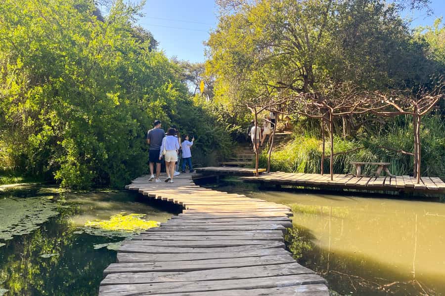 Aviary & Tricao Park Tour with Undurraga Wine Tasting - Why this unusual pairing works