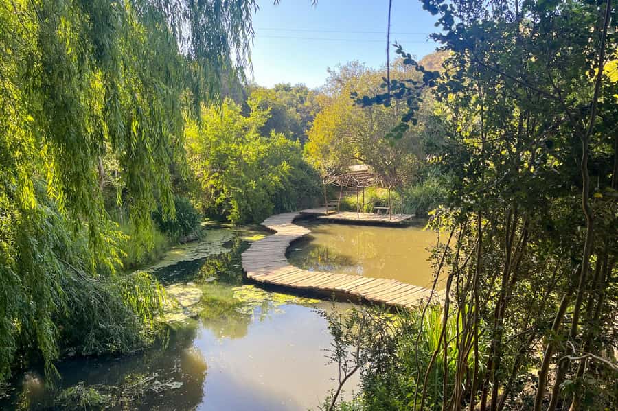 Aviary & Tricao Park Tour with Undurraga Wine Tasting - Humedal Giverny and the garden connection