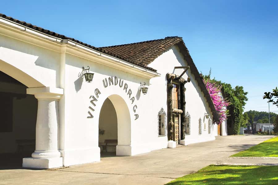Aviary & Tricao Park Tour with Undurraga Wine Tasting - Brunch beside the wetland