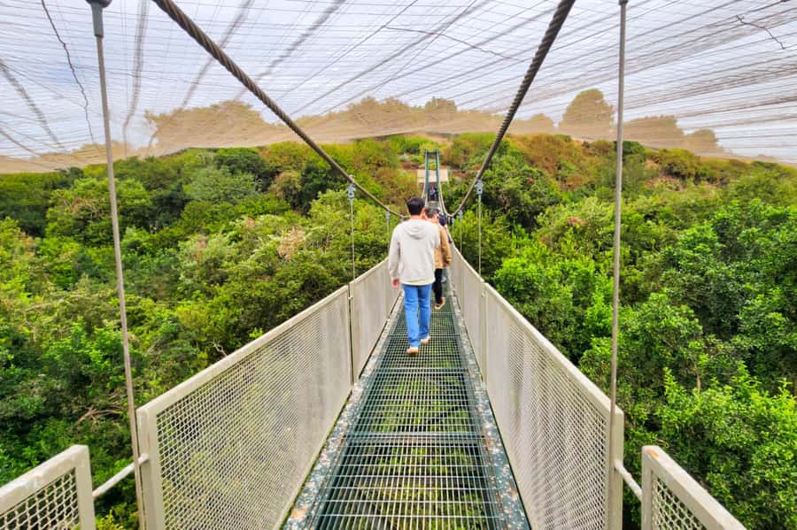 Aviary & Tricao Park Tour with Undurraga Wine Tasting - Meeting the birds at South America’s largest aviary