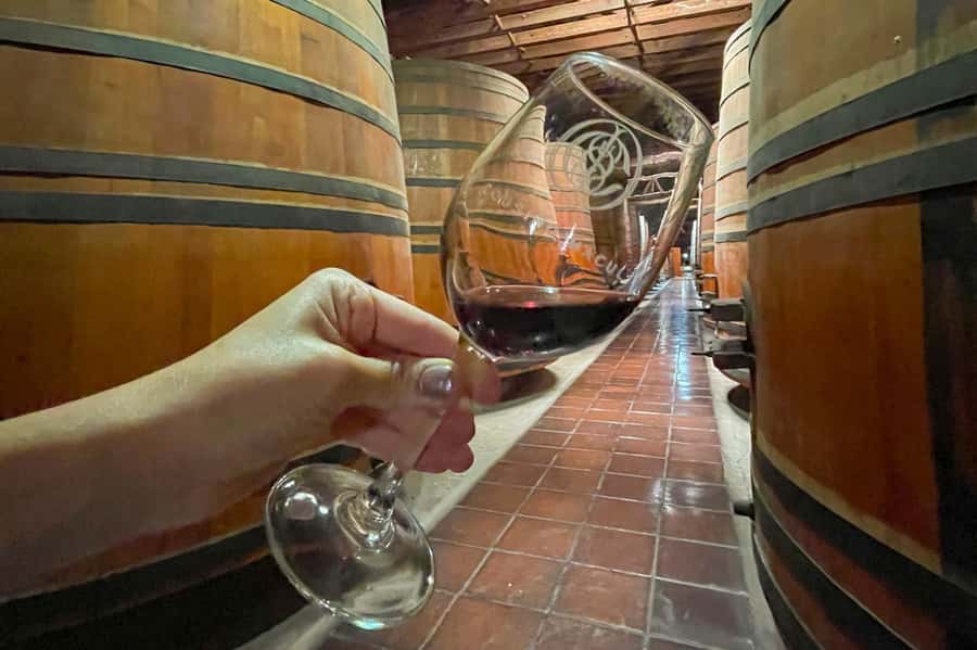 Bahá'i Temple and Cousiño Macul Vineyard - Who will get the most from this tour