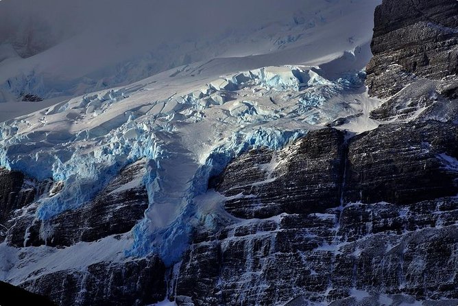 Balmaceda and Serrano Glaciers Sightseeing Cruise from Puerto Natales - Wildlife along the fjord