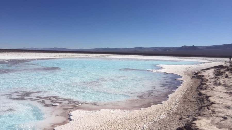 Baltinache Lagoons PM - Key points at a glance