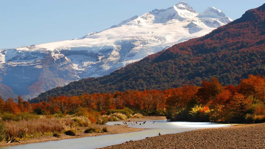Bariloche: Cerro Tronador Tour - Key points to know before booking