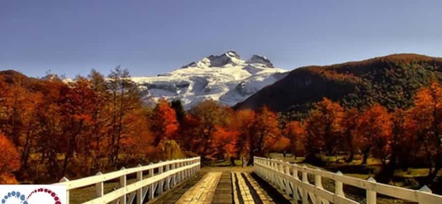 Bariloche: Cerro Tronador Tour - Pampa Linda, the practical heart of the outing