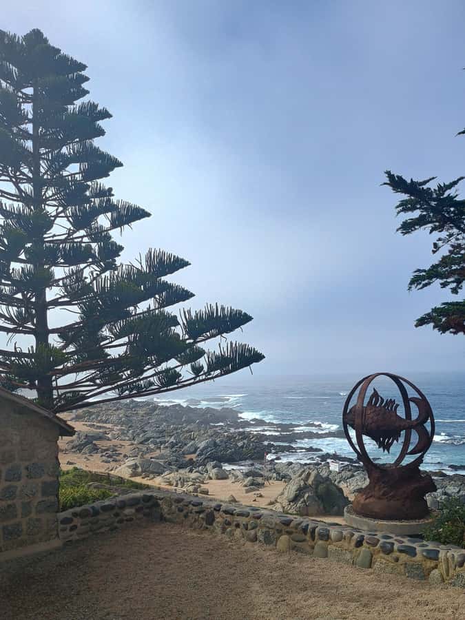 BLACK ISLAND AND CHILEAN WINE - How to plan your day