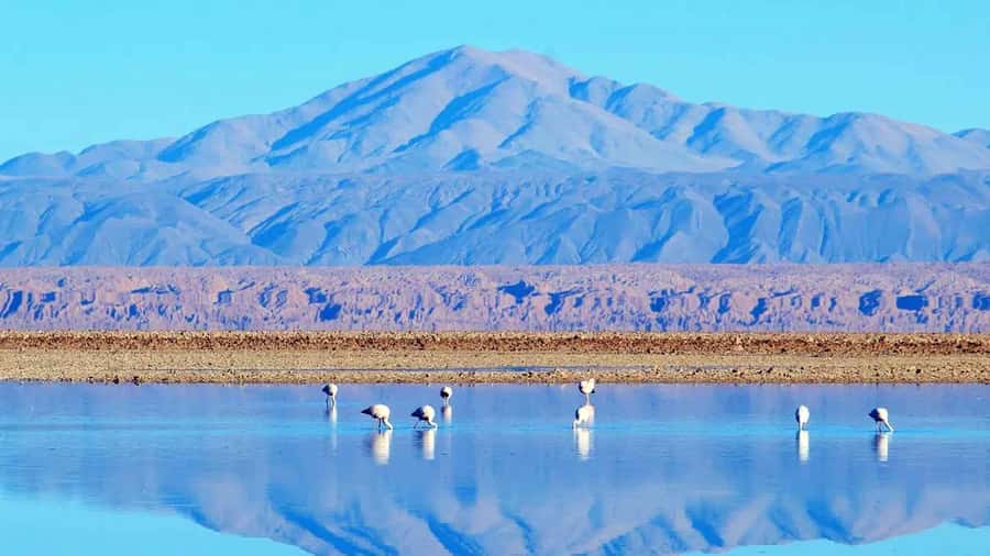 Caracoles: Red Stones of Atacama and Chaxa Guided Day Trip - The Red Stones walk to Aguas Calientes