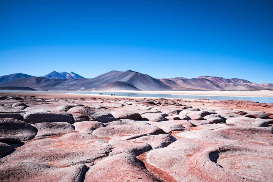 Caracoles: Red Stones of Atacama and Chaxa Guided Day Trip - Chaxa Lagoon and the flamingo flats