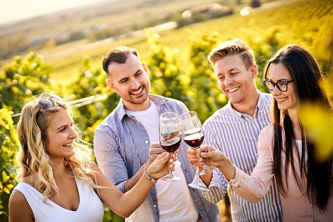 Casablanca world class wines, 4 vineyards & Tanino lunch stop - From Santiago to the Curacaví Valley