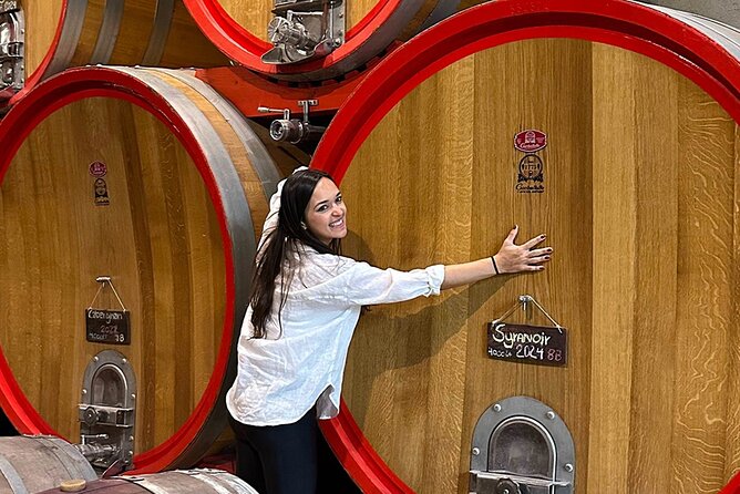 Casablanca world class wines, 4 vineyards & Tanino lunch stop - How Much Value Do You Get for $149?