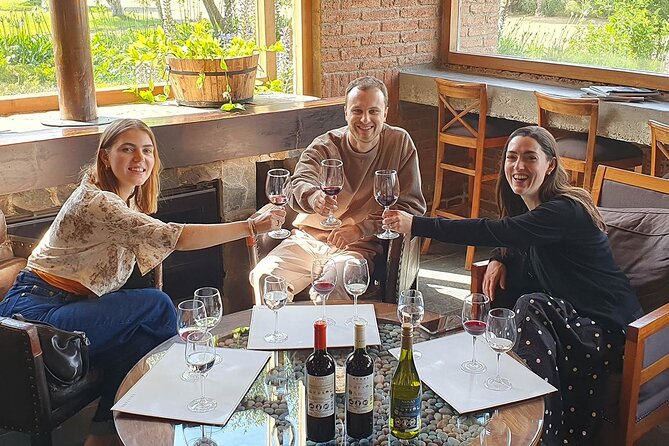 Casablanca world class wines, 4 vineyards & Tanino lunch stop - The Pace, Transportation, and Amount of Wine