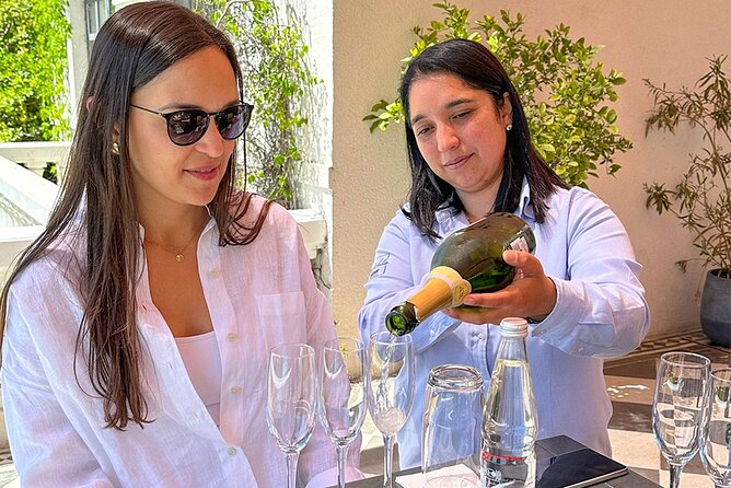 Casablanca world class wines, 4 vineyards & Tanino lunch stop - Who Will Enjoy This Casablanca Valley Day?