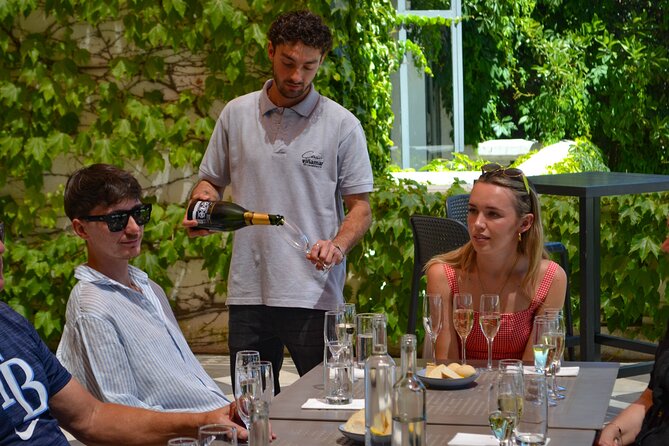 Casablanca world class wines, 4 vineyards & Tanino lunch stop - What to Bring and How to Pace the Day