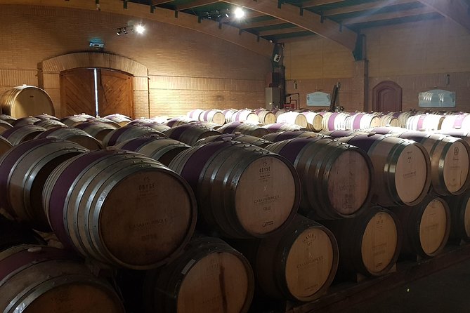 Casas del Bosque Winery + RE Wineries : Exclusive Tour + Transfer - Who will enjoy this wine tour most