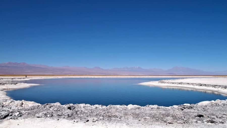 Cejar Lagoon, Tebenquiche Lagoon and Ojos del Salar - Key points to know before you book