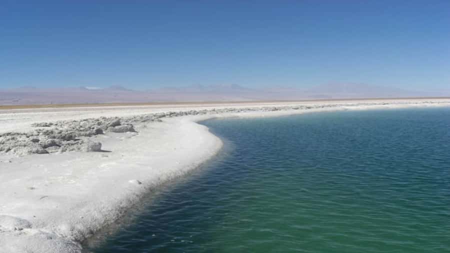 Cejar Lagoon, Tebenquiche Lagoon and Ojos del Salar - Why Cejar Lagoon is the main event