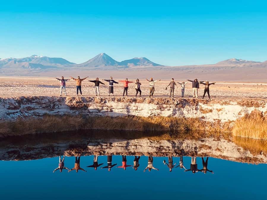 Cejar Lagoon Tour: San Pedro de Atacama - Key points at a glance