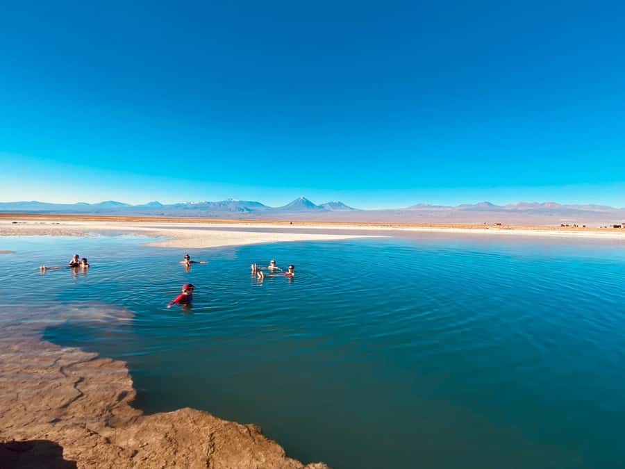 Cejar Lagoon Tour: San Pedro de Atacama - Why Cejar Lagoon is the star of the afternoon