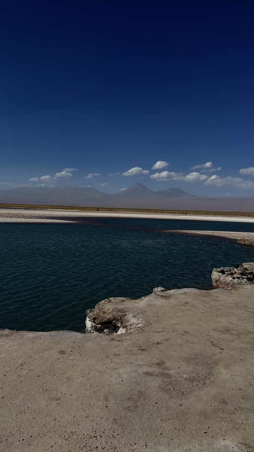 Cejar & Tebenquiche Lagoons Tour with Ojos del Salar Atacama - Cejar Lagoon’s salt crystals and birdlife