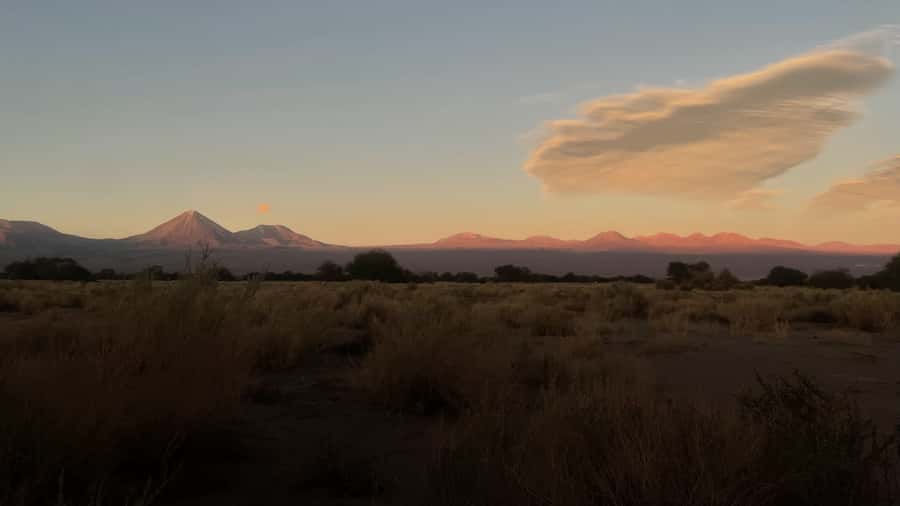 Cejar & Tebenquiche Lagoons Tour with Ojos del Salar Atacama - A cocktail beside the desert