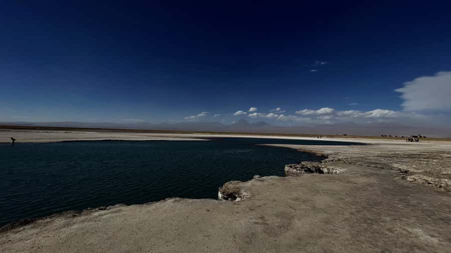 Cejar & Tebenquiche Lagoons Tour with Ojos del Salar Atacama - Who should book this lagoon tour