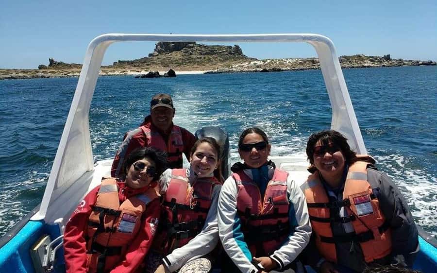 Chañaral de Aceituno boat ticket - Why Chañaral Island is worth your morning