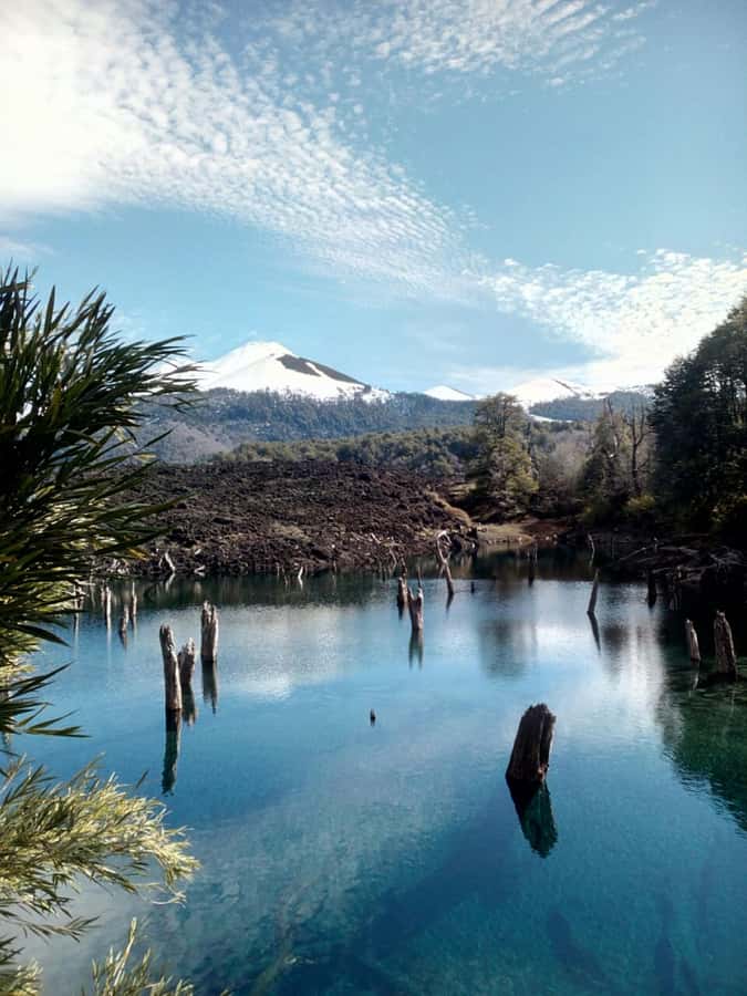 Conguillío National Park Tour, Full day - Should you book the Conguillío day tour?