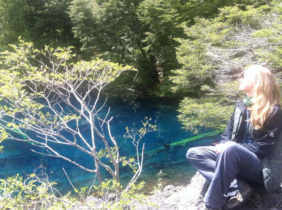 Conguillío National Park Tour, Full day - Short walks and araucaria trees