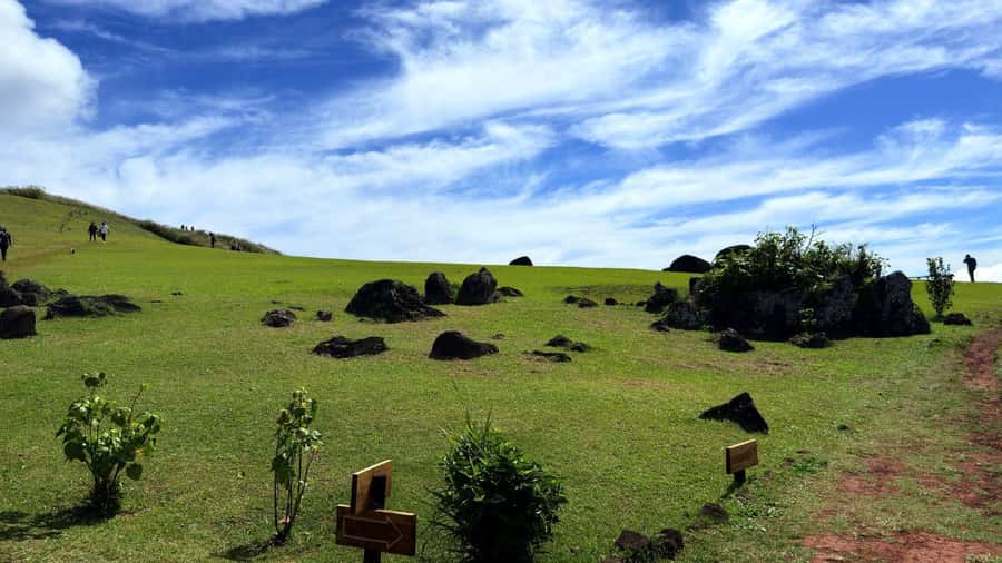 Easter Island: Half-Day Archaeology Tour - Who Should Book This Experience