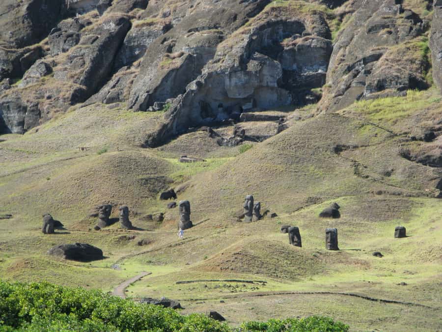 Easter Island: Moai Full Day Private Tour - Rano Raraku, the moai quarry