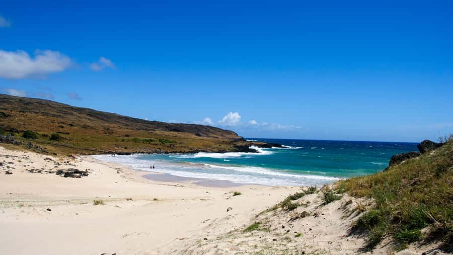 Easter Island: Moai Full Day Private Tour - What the private format is worth at $219