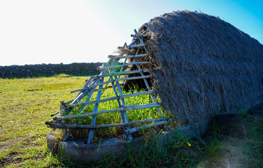 Easter Island: Private Full Day History Of The Moai - Ovahe’s pink sand and Anakena beach