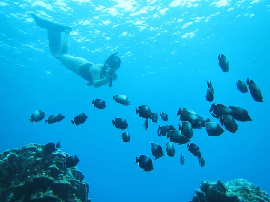 Easter island: Snorqueling tour on coral reefs - Key points before you book