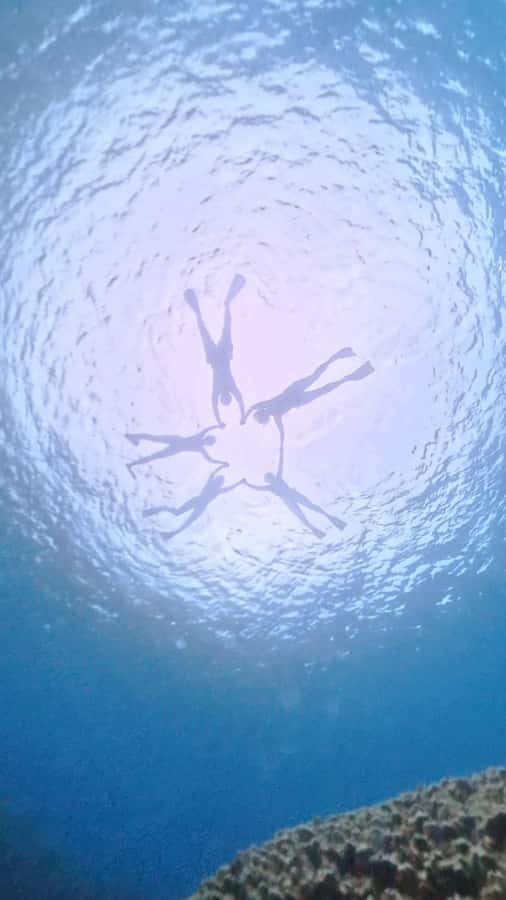 Easter island: Snorqueling tour on coral reefs - From Hanga Roa to the reef in 30 minutes